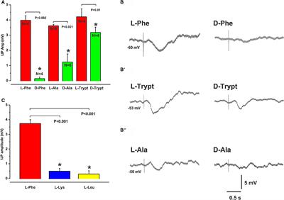 Calcium Sensing Receptors Mediate Local Inhibitory Reflexes Evoked by L-Phenylalanine in Guinea Pig Jejunum